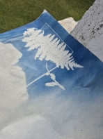 IMAGE 2024-11-24 18_41_42.jpg